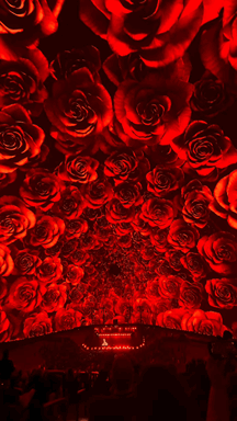 ezgif.com-video-to-gif-converter (4) (1).gif