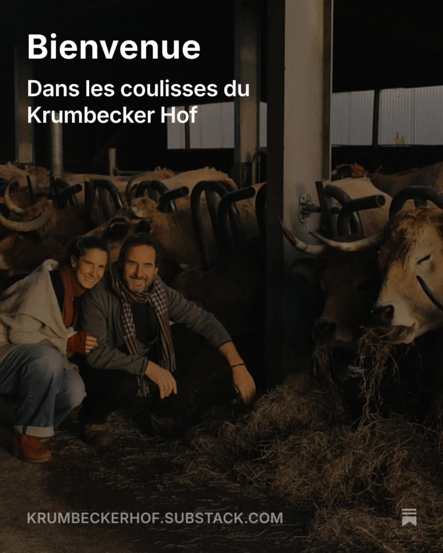 Nous avons eu l'envie de partager ce que nous vivons actuellement en essayant, du mieux que nous pouvons, de d&eacute;fendre le projet eco-social qu'est le Krumbecker Hof. 

Alors nous avons commencer un Substack.

Comme un journal de bord. Un peu &a