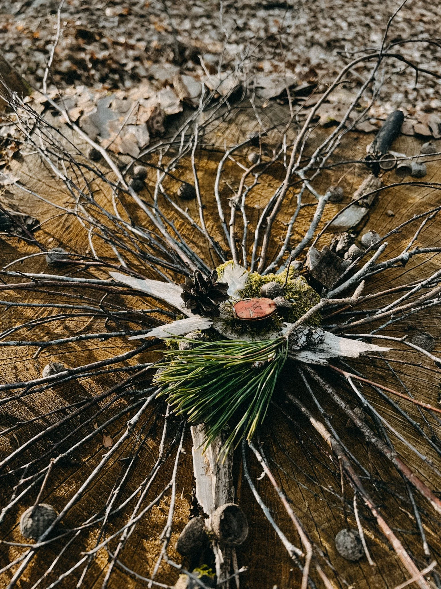 WhatsApp Image 2026-03-22 at 13.18.50.jpg