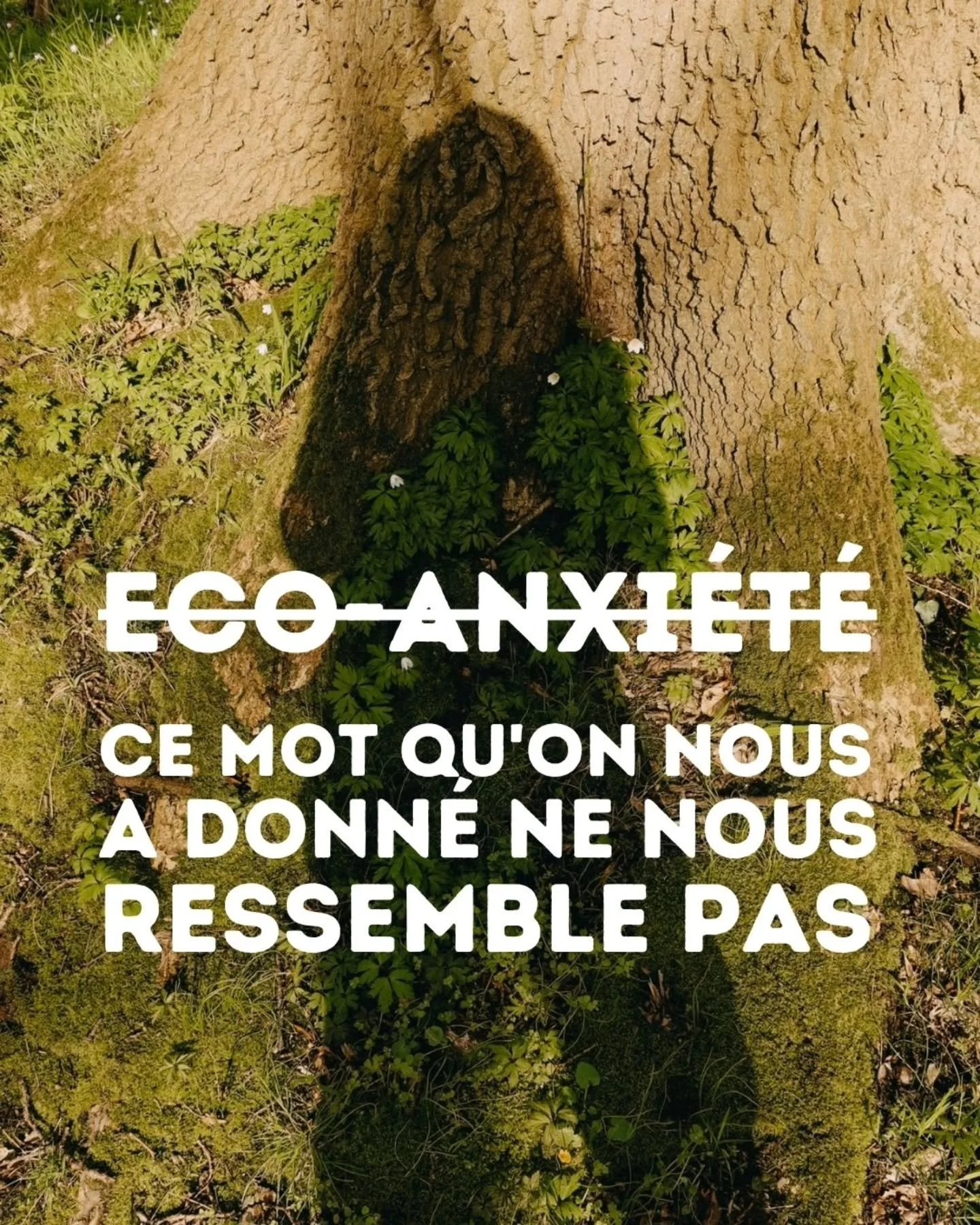 Tu as sans doute entendu ce mot des dizaines de fois. &Eacute;co-anxieuse. Dans les m&eacute;dias, dans la bouche d'un m&eacute;decin, dans un article qui voulait bien faire.

Ce qui m'a frapp&eacute;e, c'est que ce mot parle de toi. De ce qui ne va 