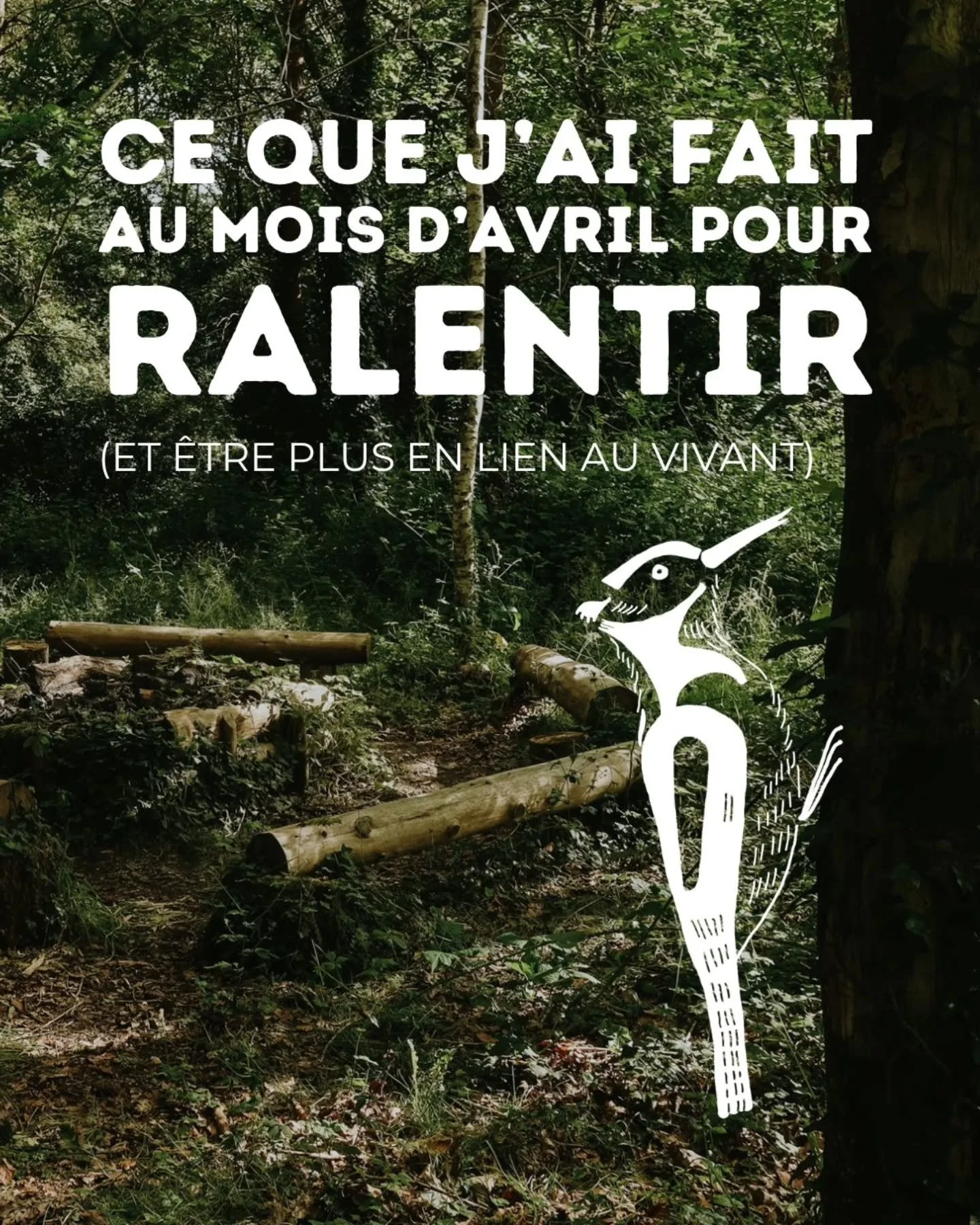 Avril a eu un go&ucirc;t de pissenlit et de kefir.

Ce mois-ci, j'ai prisble temps d'observer ce qui m'aidait vraiment &agrave; ralentir et &agrave; rester en lien avec le vivant. 
J'ai remarqu&eacute; quebse sont parfois les gestes petits et rituali