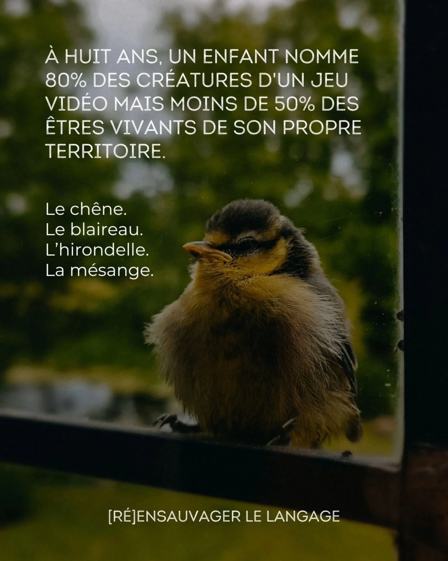 Il y a des mots que nous avons cess&eacute; d'utiliser parce que nous avons cess&eacute; de fr&eacute;quenter ce qu'ils nommaient.

Des chercheurs de Cambridge ont mesur&eacute; &ccedil;a en 2002. Les enfants de huit ans reconnaissaient sans peine de