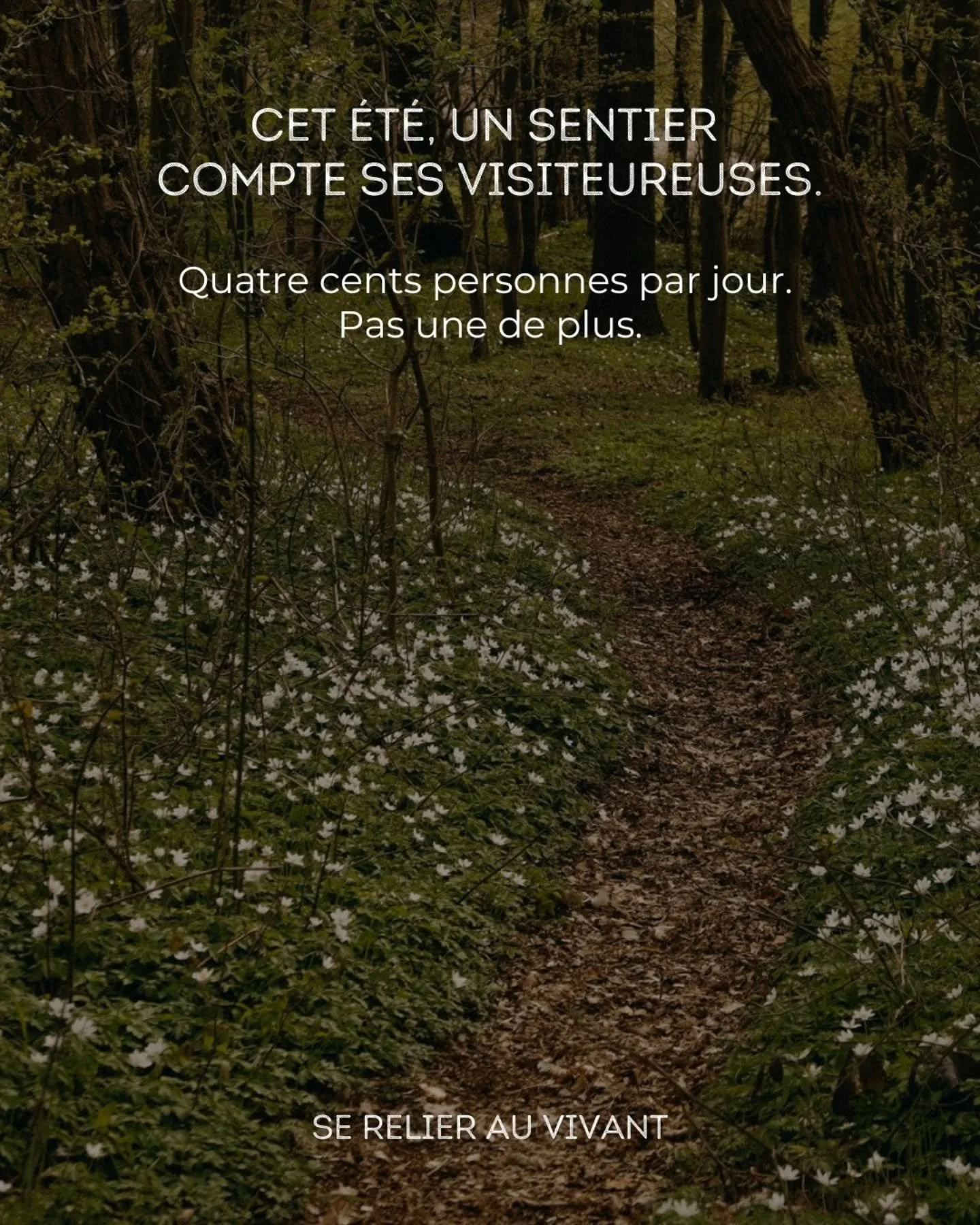 Quatre cents personnes par jour &agrave; Sugiton. Le chiffre a fait les titres cet &eacute;t&eacute;.

Comment pr&eacute;server la nature de "la culture du selfie" ?

Ce que cela dit de notre mani&egrave;re d'approcher un lieu, de se l'appr