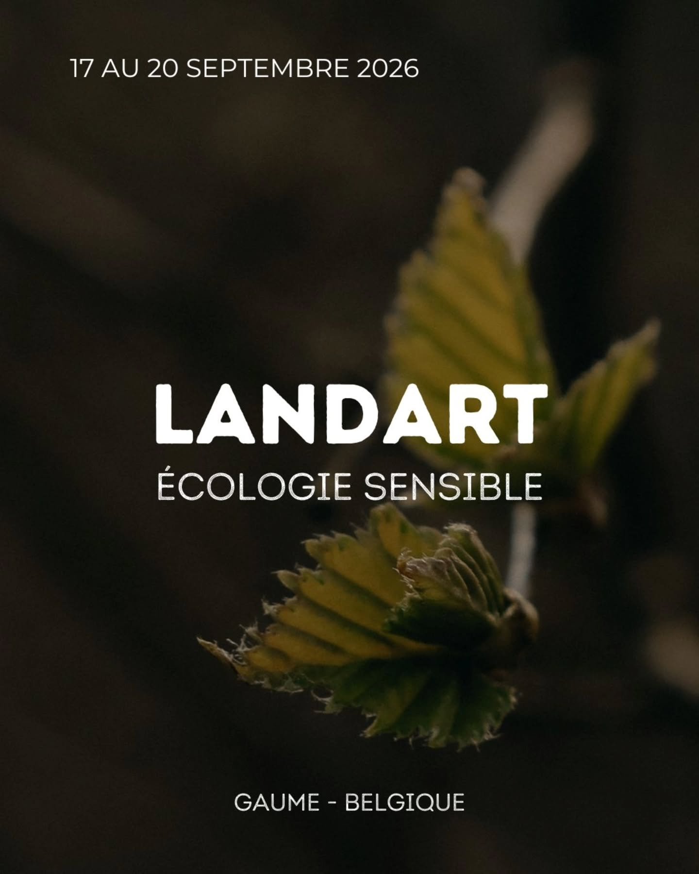 La Semois ne m'inspire pas. 
Elle fait partie du processus.

C'est la diff&eacute;rence entre aller chercher un joli d&eacute;cor pour cr&eacute;er, et cr&eacute;er avec ce qu'un lieu accepte de donner ce jour-l&agrave;.

Quatre jours en Gaume pour a