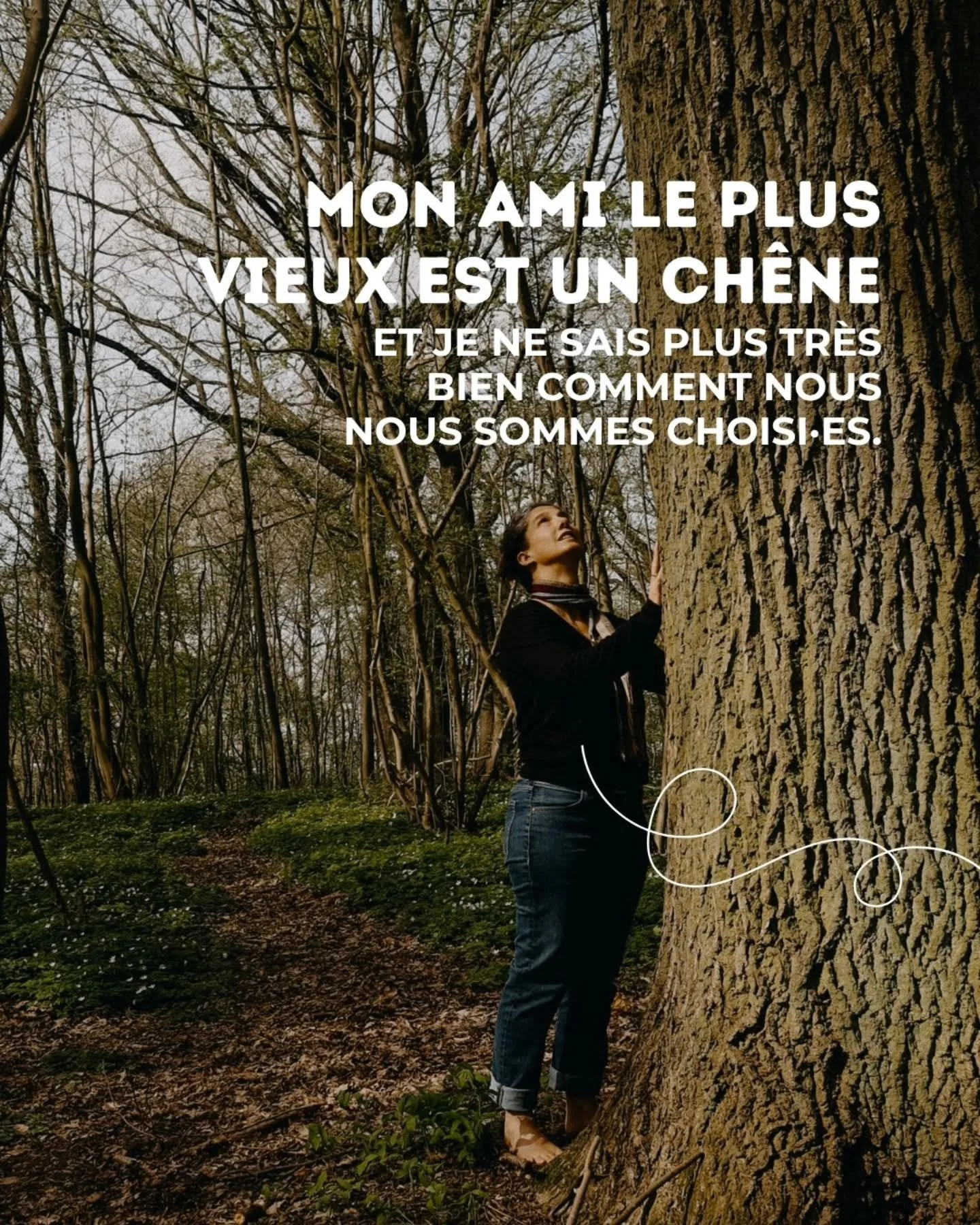 On c&eacute;l&egrave;bre beaucoup l'amiti&eacute; entre humains. 

On oublie souvent celle qui nous relie au reste du vivant.

Au Krumbecker Hof, j'ai un ami au tronc noueux et au silence patient. 

Il m'a beaucoup appris sur la mani&egrave;re d'entr