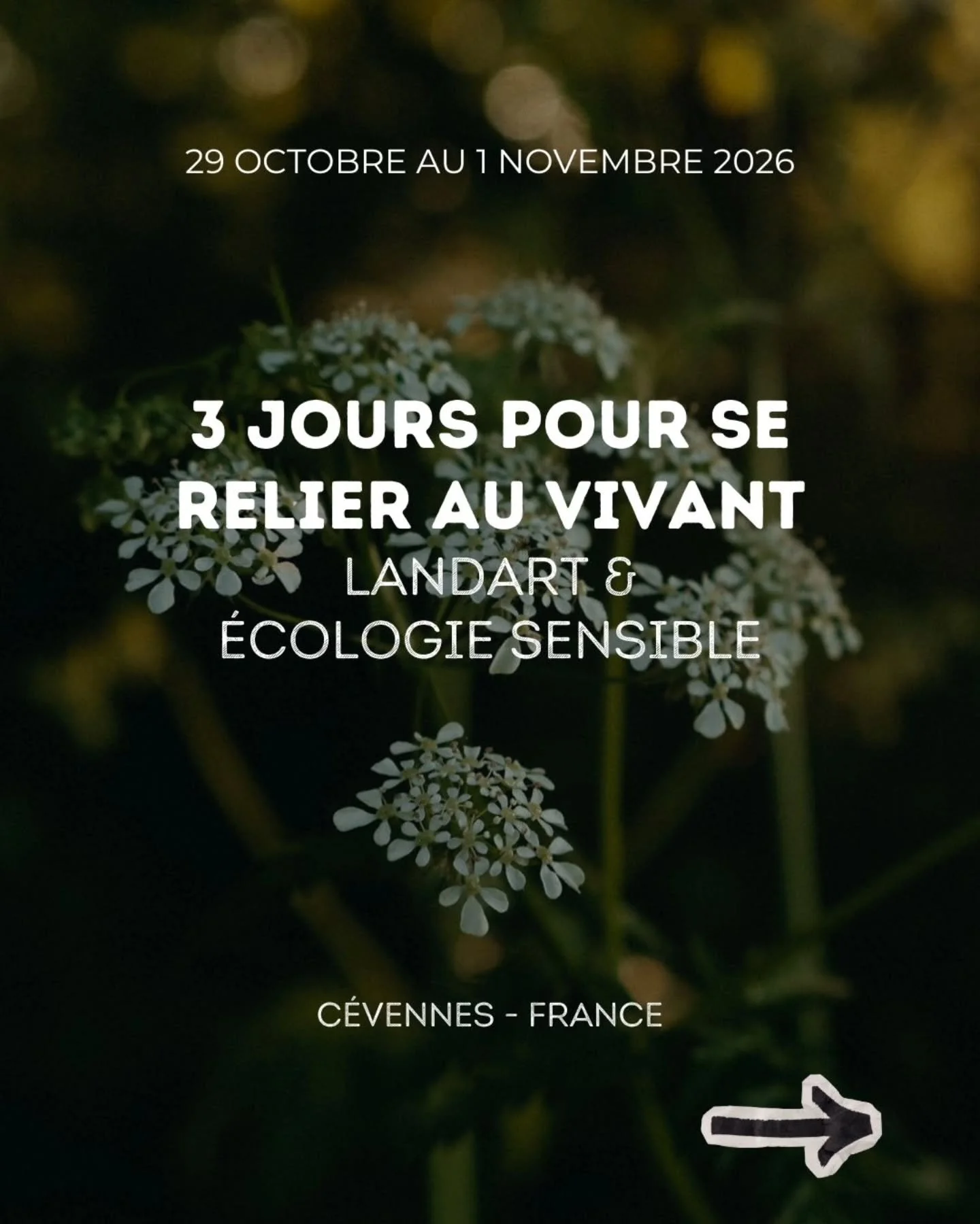 Et si, pour rester en lien avec le vivant, nous passions par les mains ?

Du 29 octobre au 1er novembre, je t'invite &agrave; Lascoutch, dans les C&eacute;vennes m&eacute;ridionales.

Trois jours de land art, d'observation sensible et de cercles de p