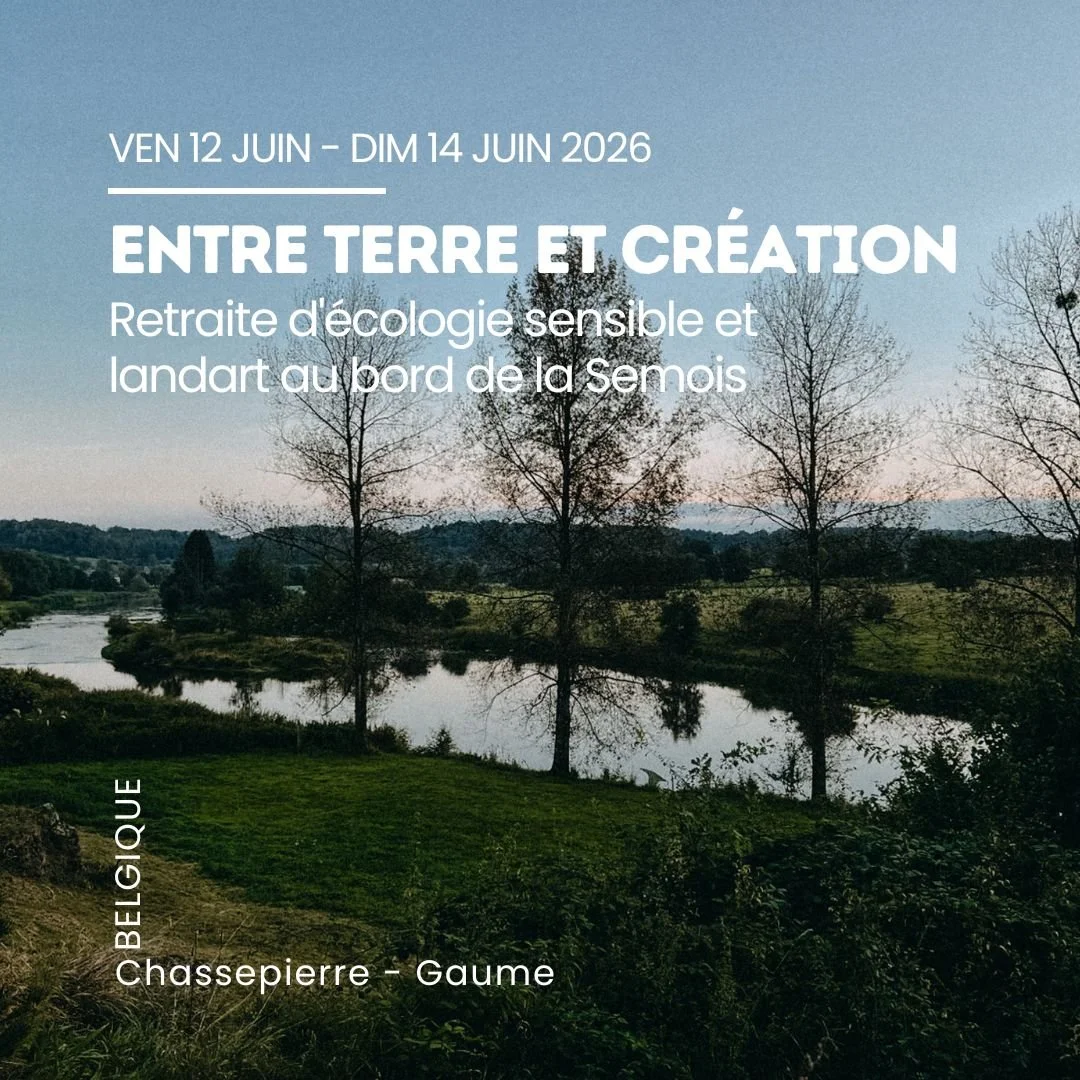 Vignette agenda (1).jpg