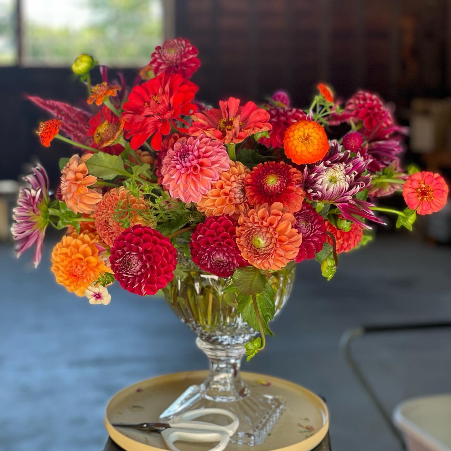 And just like that it&rsquo;s September.  The gardens are quickly changing their colors and giving over to fall colors. So enjoy making something pretty with all of the leftovers from this weekend&rsquo;s harvest. #scituateharbor  #dahlias #flowerfar