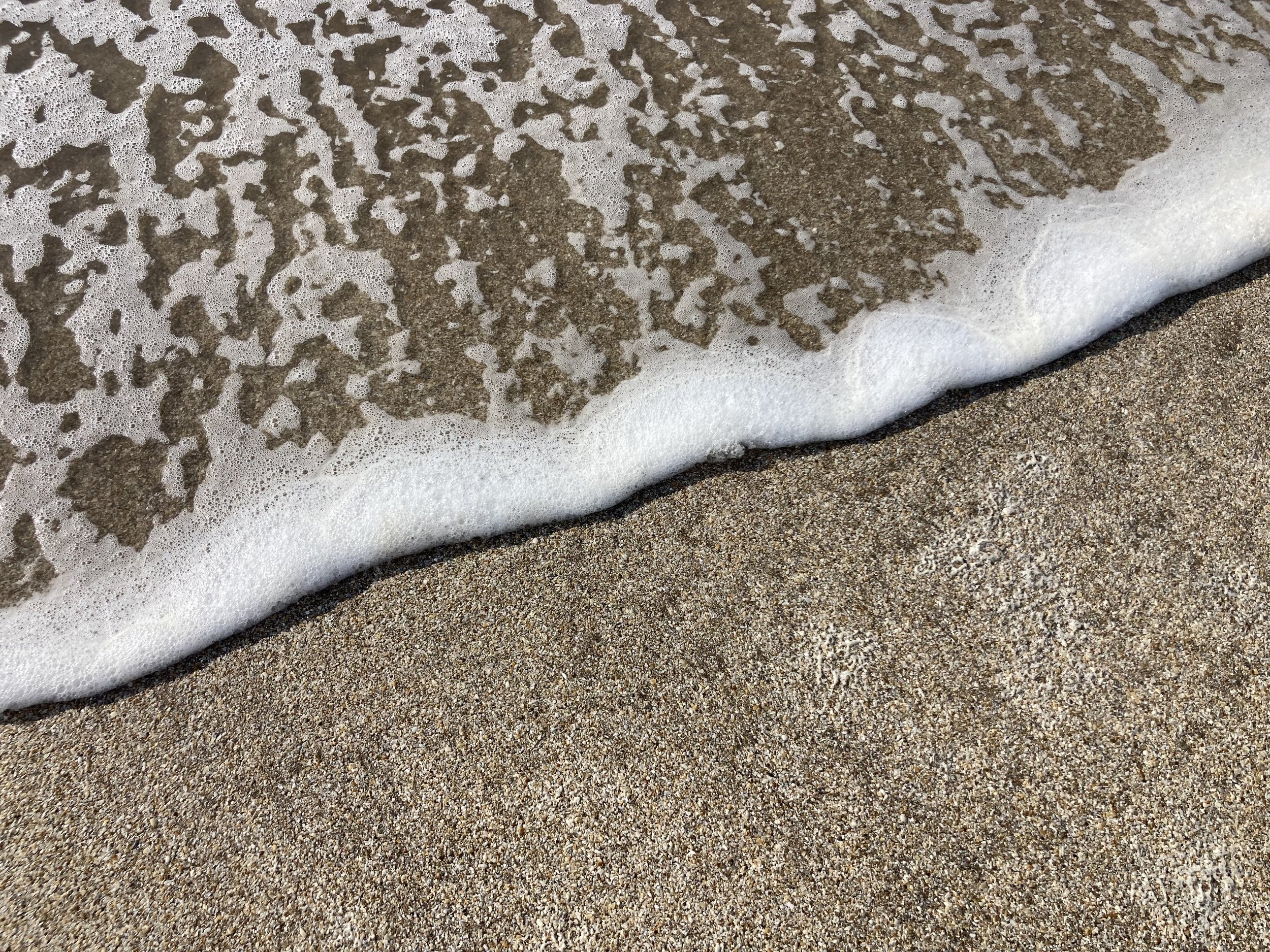 IMG_4032.jpeg
