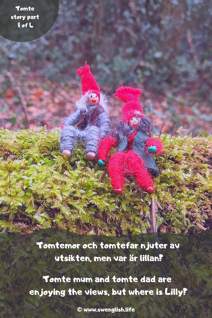 swedish-tomte-story-part 1.jpg