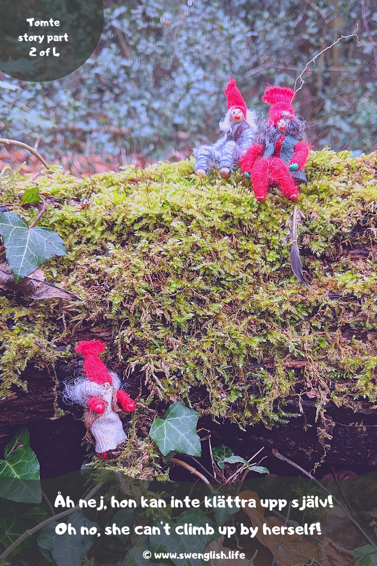 swedish tomte story part 2.jpg