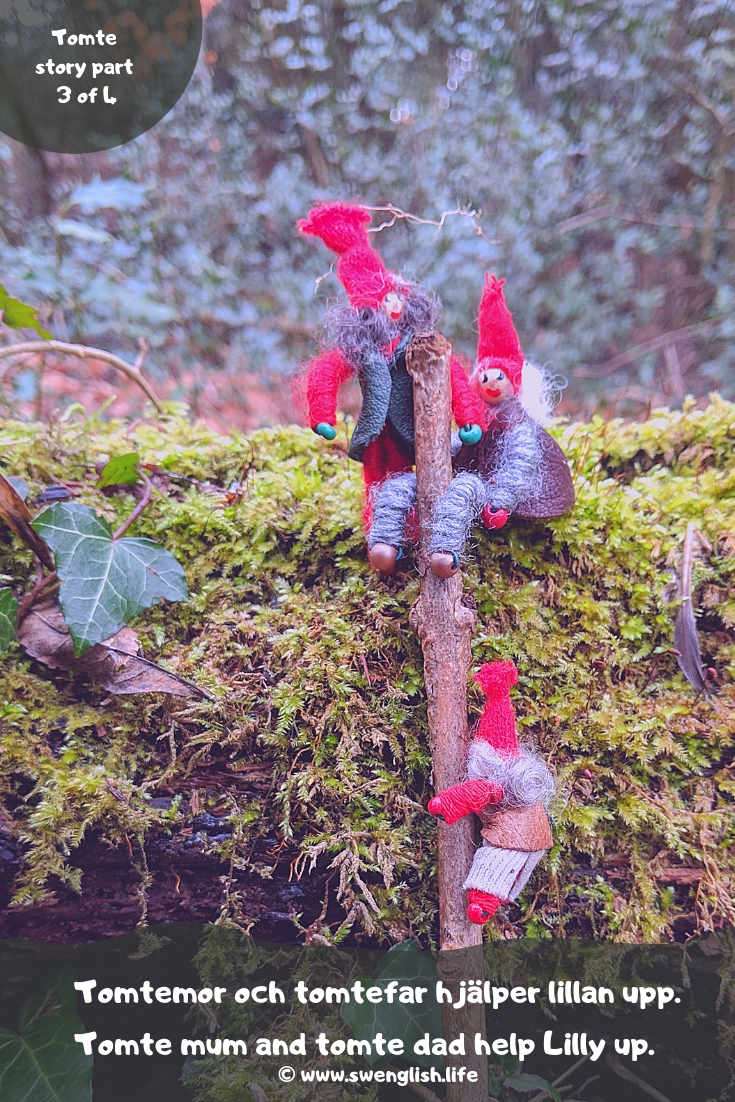 swedish tomte story part 3.jpg