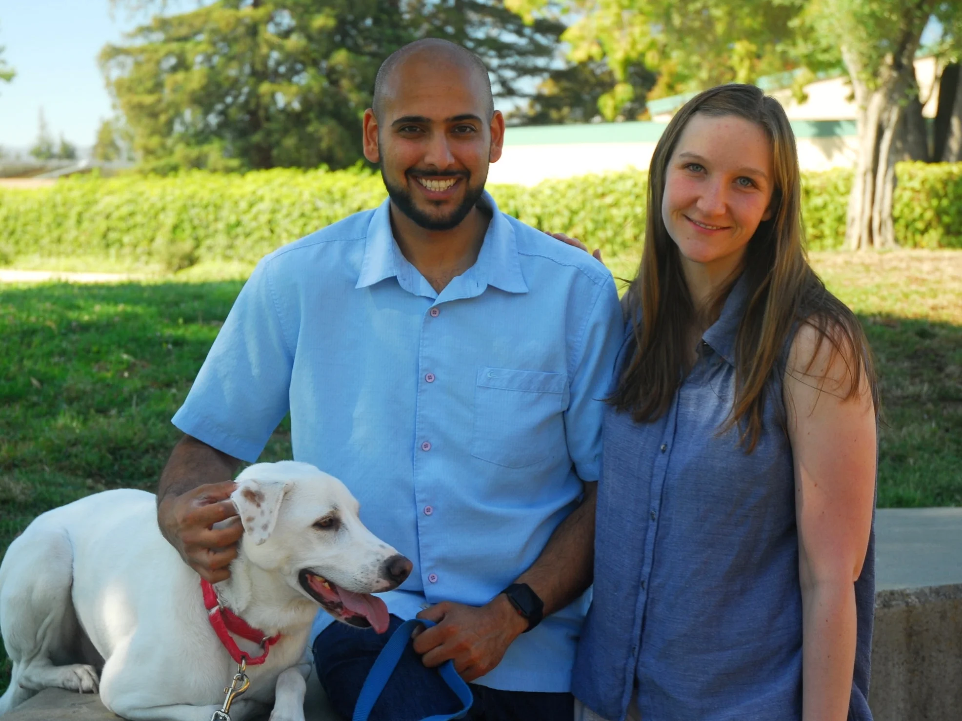 A new voice for PAUSD students