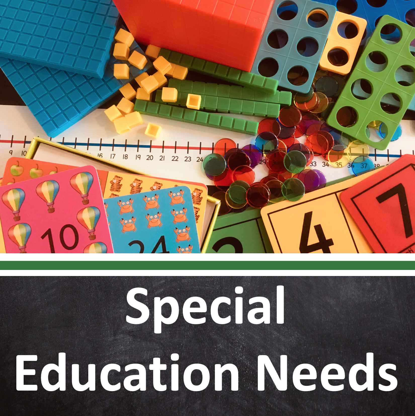 Special Education Needs