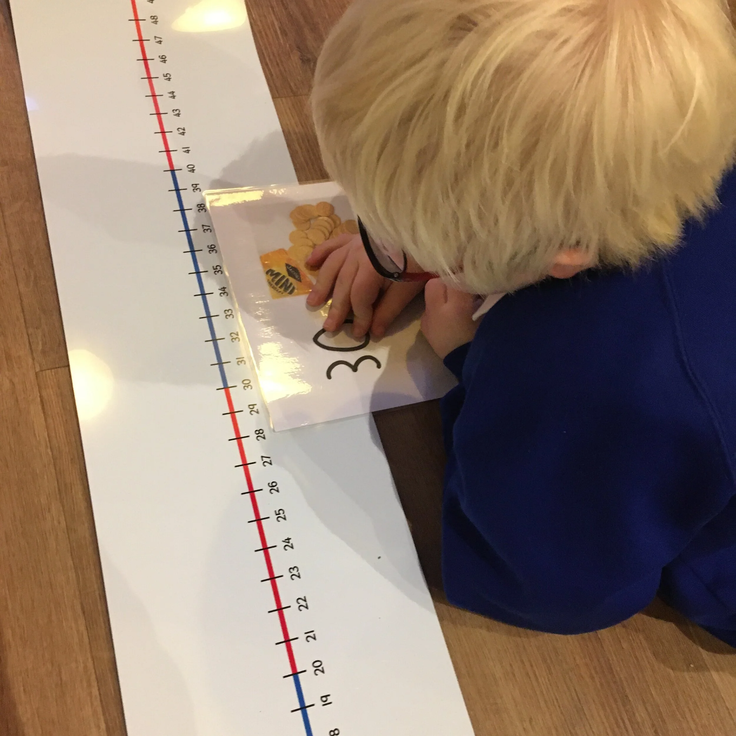 Large Floor/Wall 0-100 Number Line