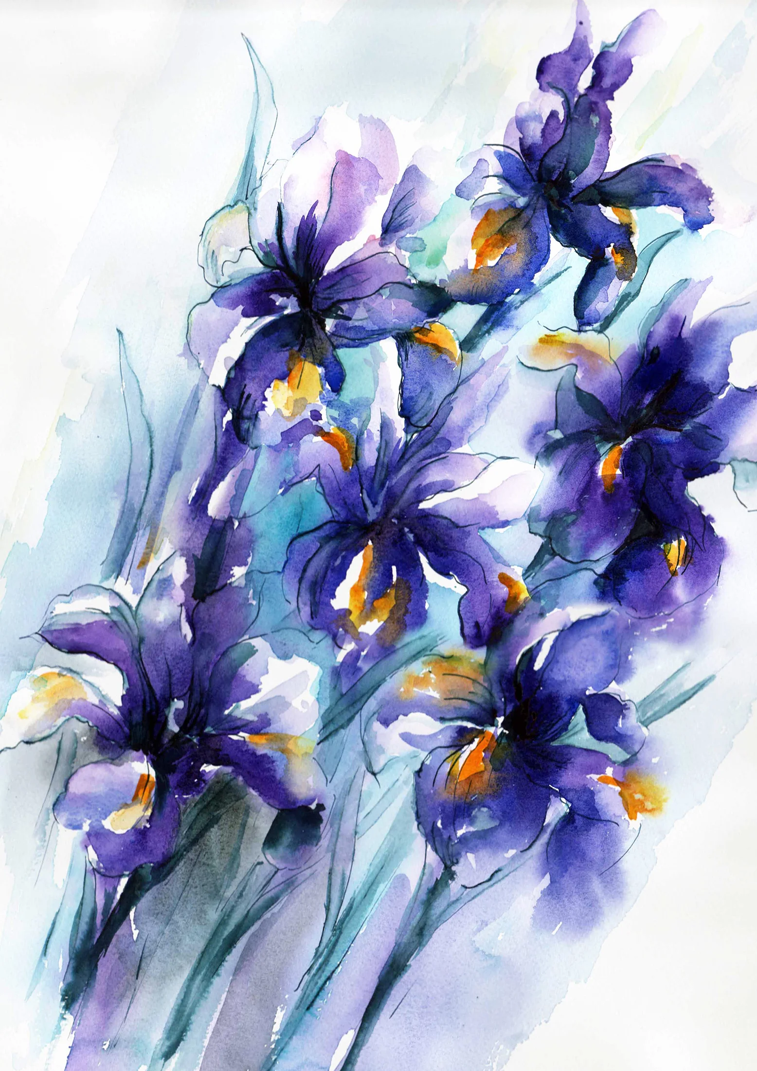 Nicky Hunter, Vibrant Iris, watercolour painting