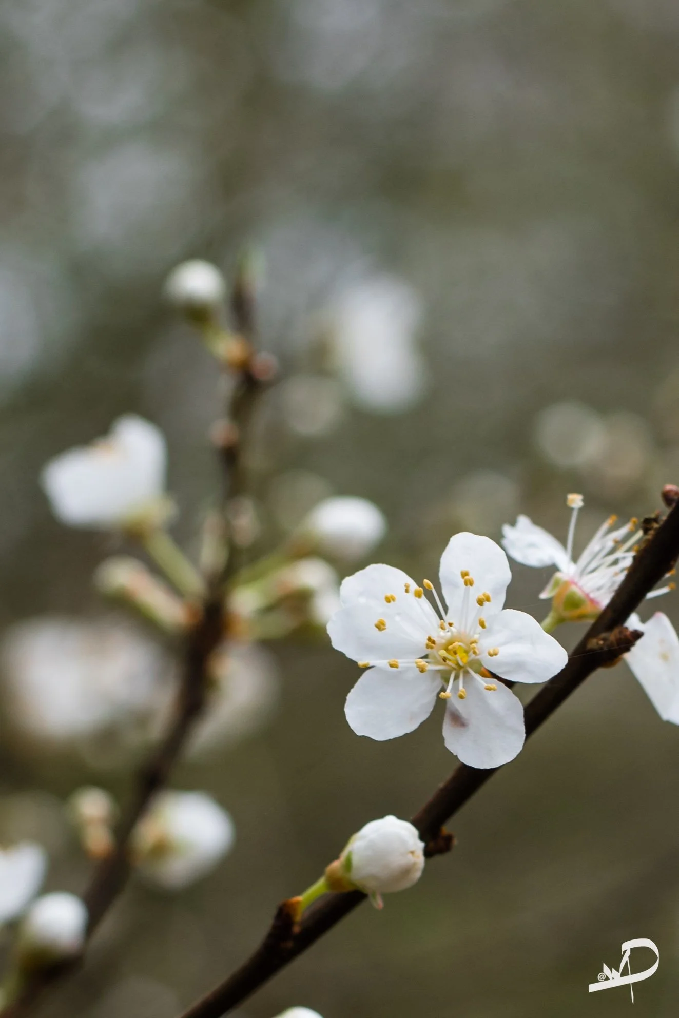 Photography for Beginners 01/05/2024