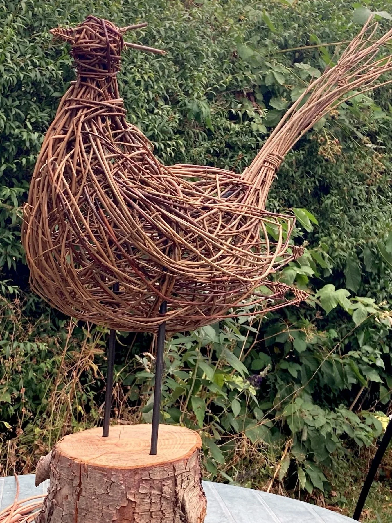 Create a willow quirky bird using random weave