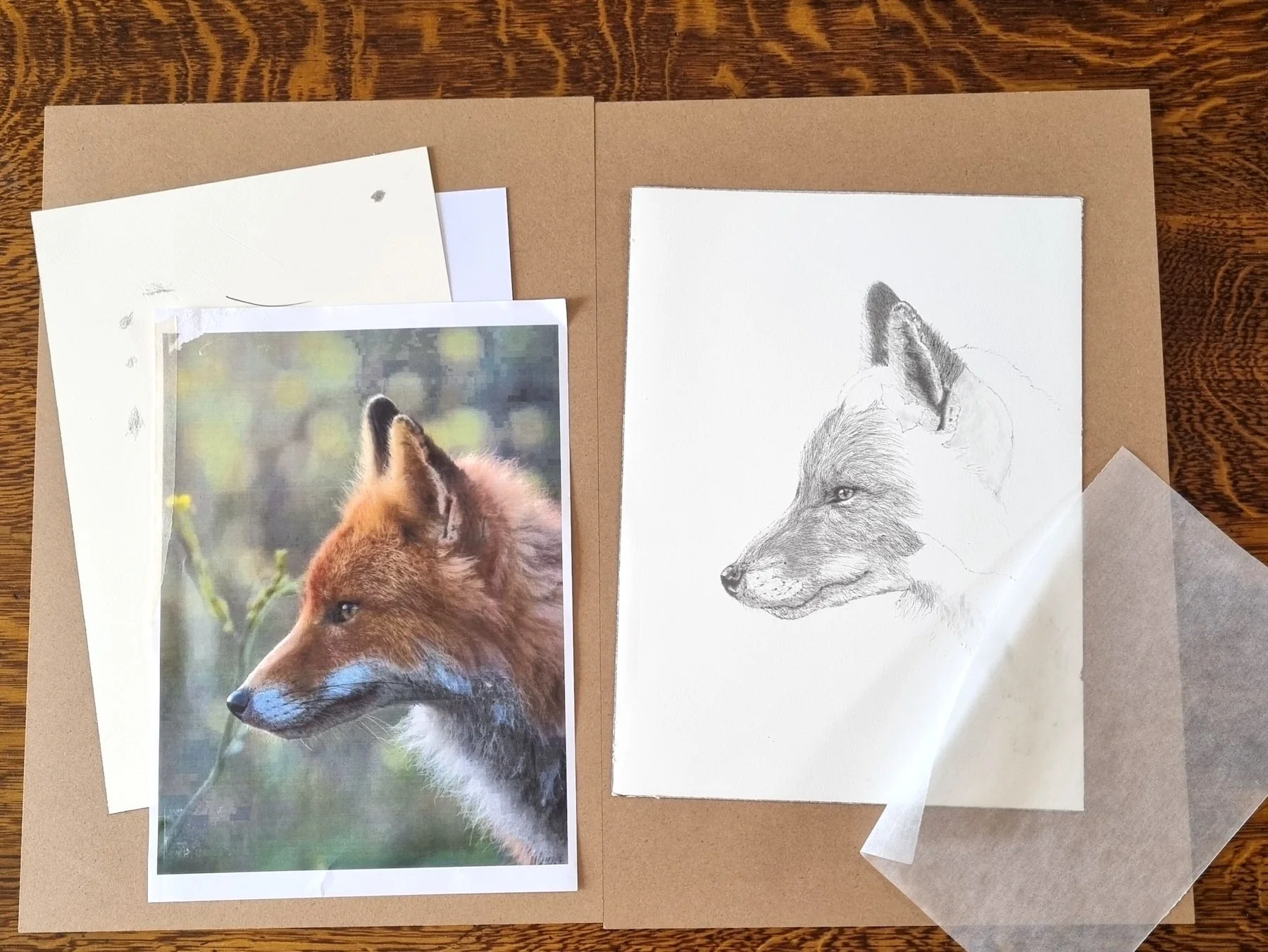 CateKutas_GraphiteDrawing-Fox.jpg