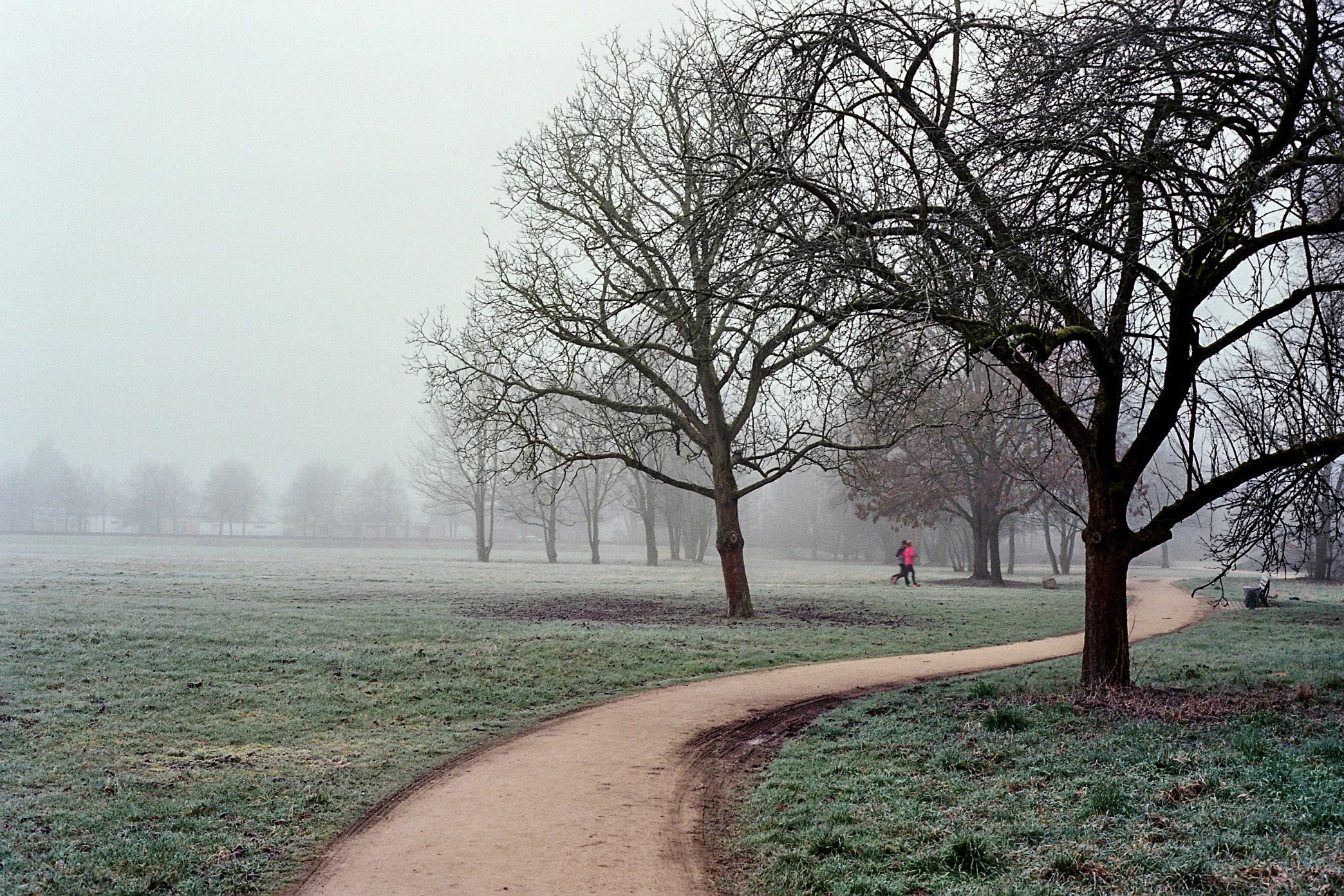 Bild010_Neg.Nr_.10A.jpg