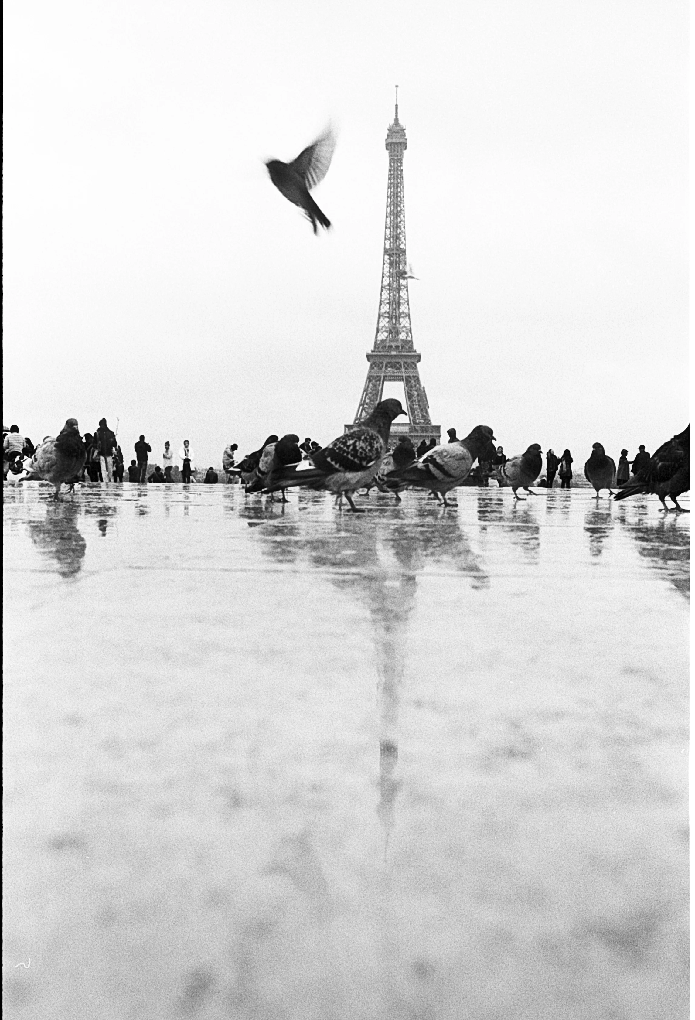 Paris2017_TRIX400_1600_Nikon-FM2-28mm (9).jpg