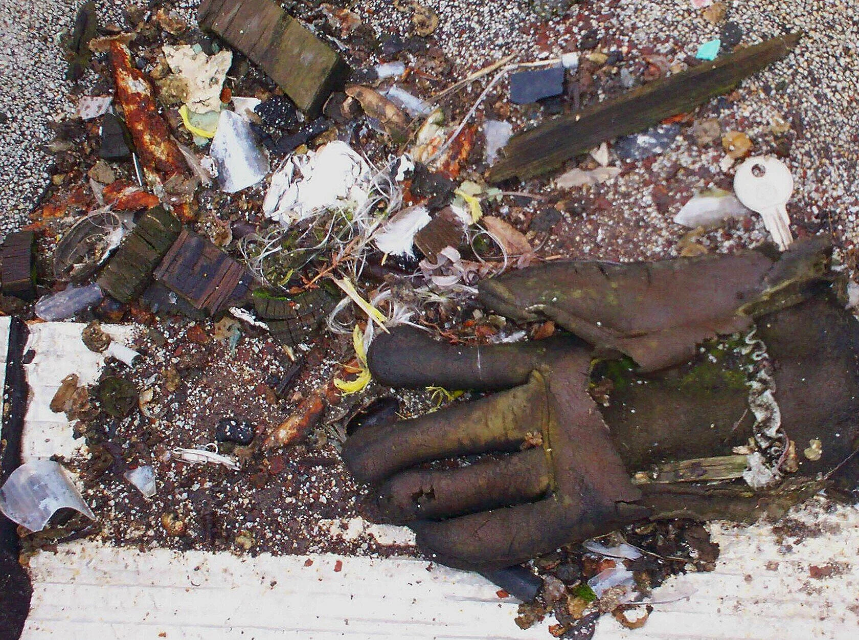 debris.jpg