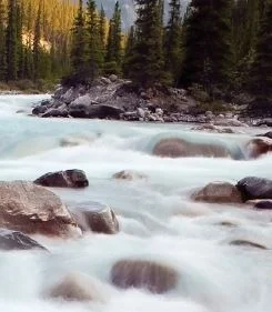 Rivers: Currents of Change