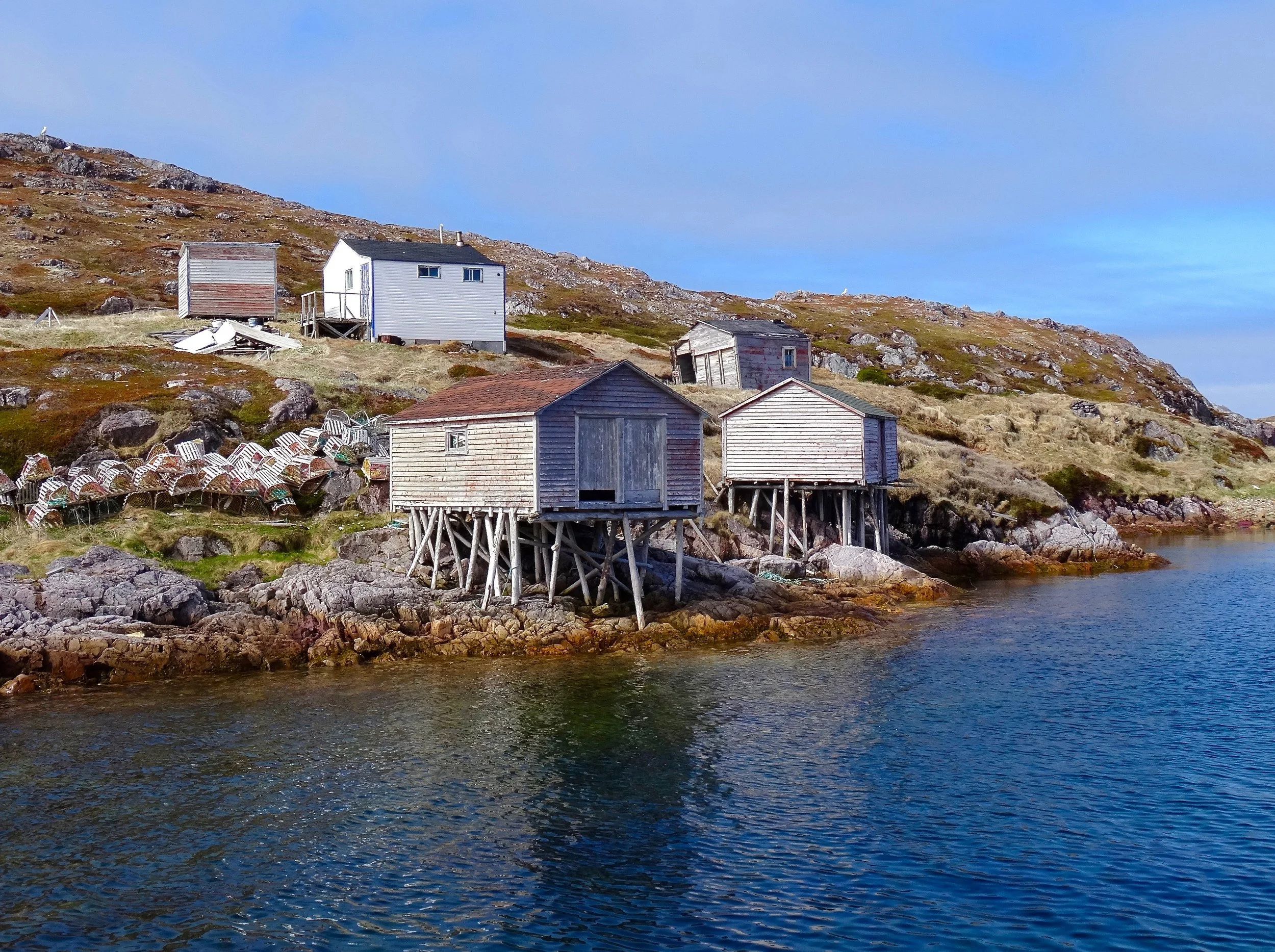 Newfoundland: The Damnedest Hullabaloo