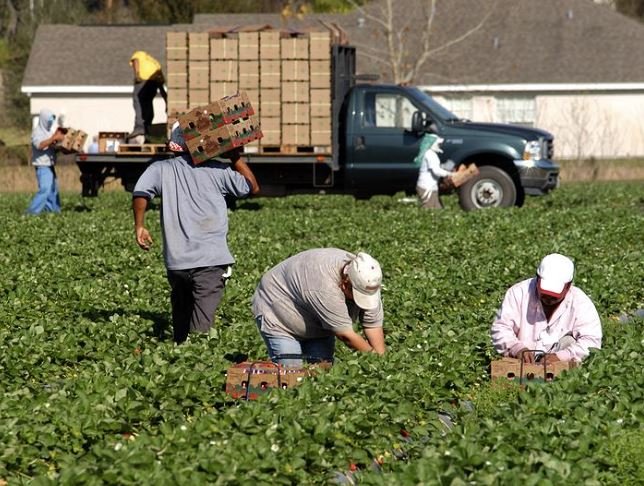 Migrant workers in Northumberland County