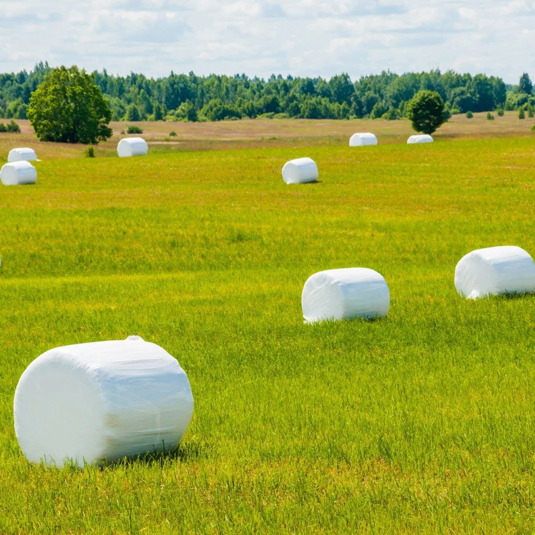 Empaquetado de heno.jpeg