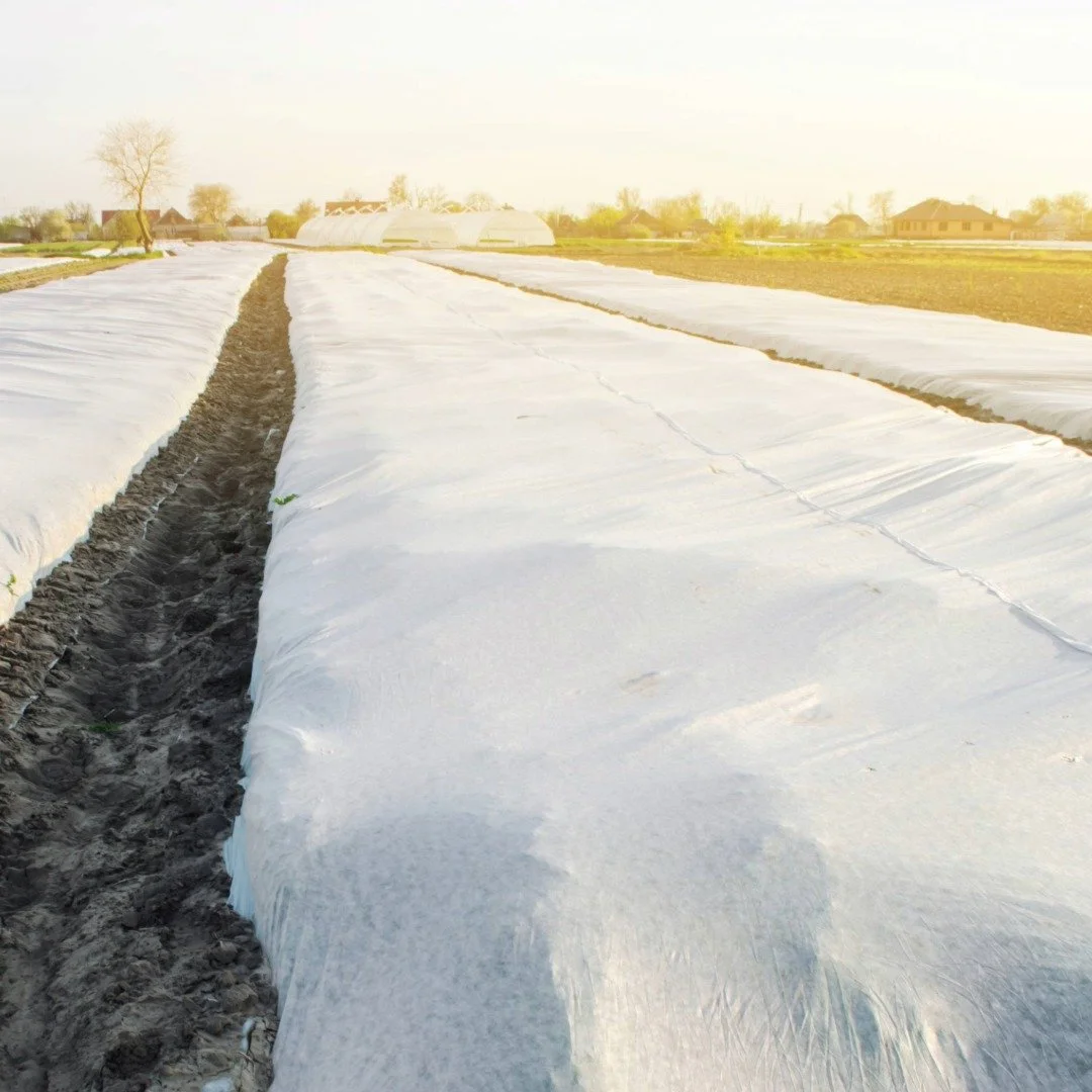 Protección para invernadero.jpeg