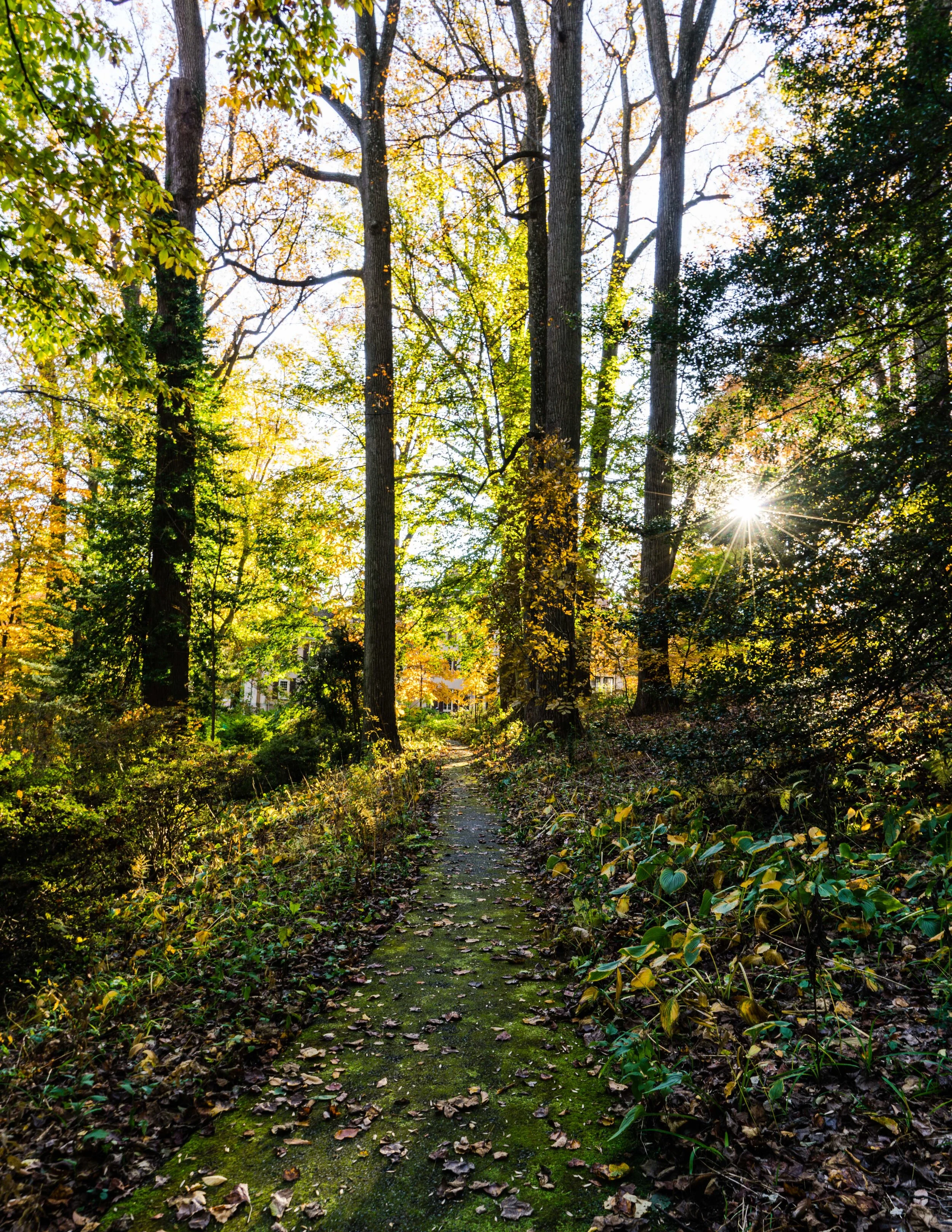 Autumn Greenway.jpg