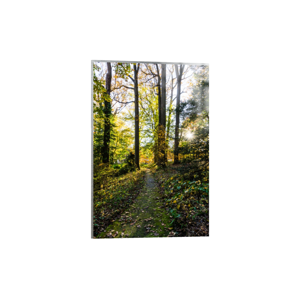 metalprint_rectangle2_3_446_0_4576_6864_0_false_ffffff_0_0.png