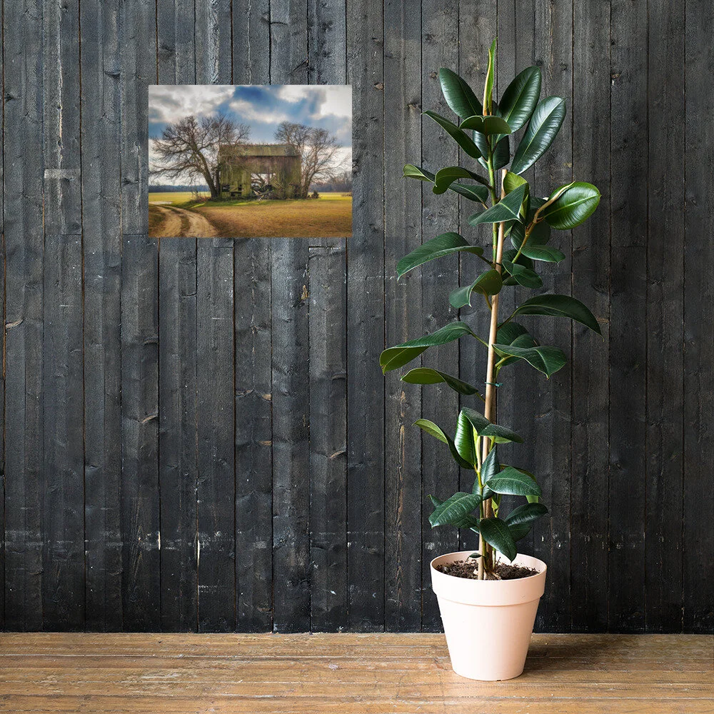 premium-luster-photo-paper-poster-(in)-18x24-lifestyle-2-613d2ee1062ce.jpg