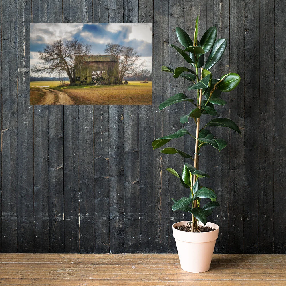 premium-luster-photo-paper-poster-(in)-24x36-lifestyle-2-613d2ee106324.jpg