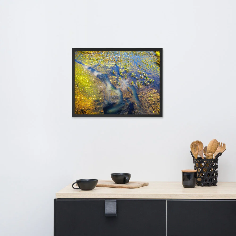 premium-luster-photo-paper-framed-poster-(in)-black-18x24-front-613d2f5d41d25.jpg