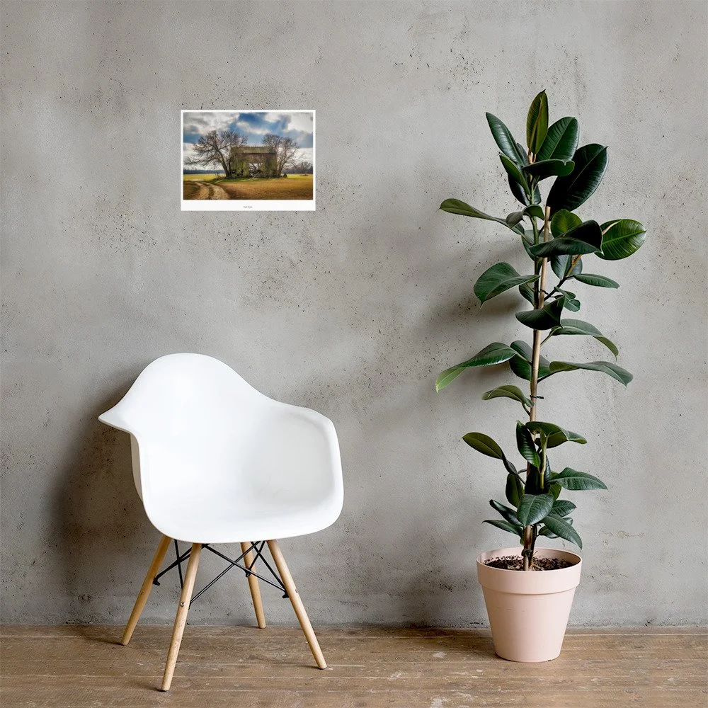 premium-luster-photo-paper-poster-(in)-12x16-lifestyle-1-6176c7737f9be.jpg