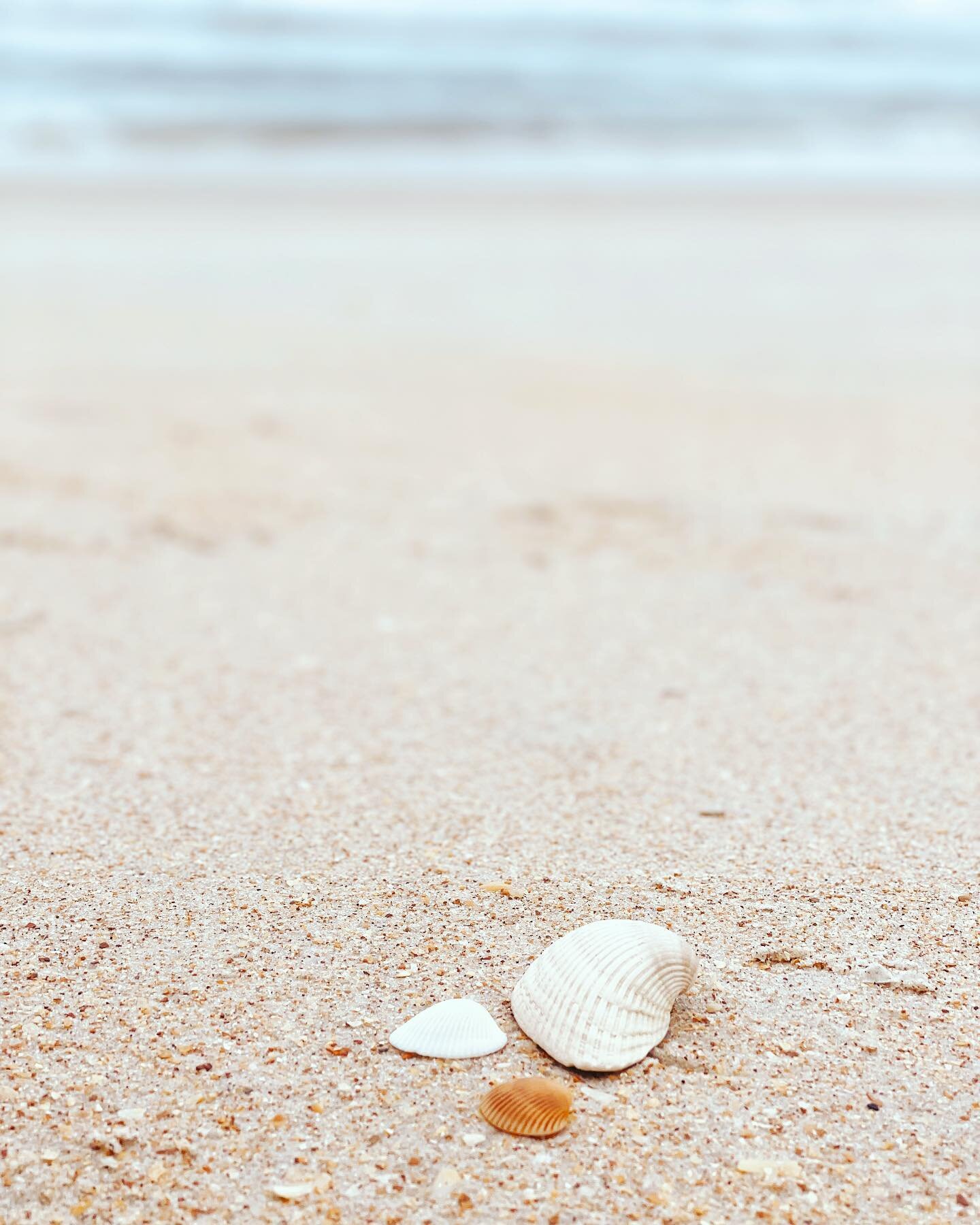 Summer is here and I am on the long-awaited vacation. Loving watching my kids as they enjoy the beach and the ocean (I forgot the sound of the waves is so hypnotic - and relaxing!) but I miss my bench a bit. Pity it can&rsquo;t come with me. Maybe th