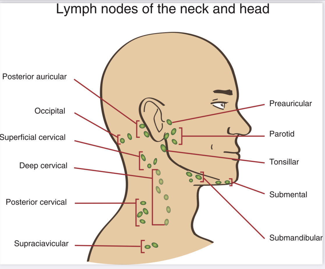 lymphatic drainage face