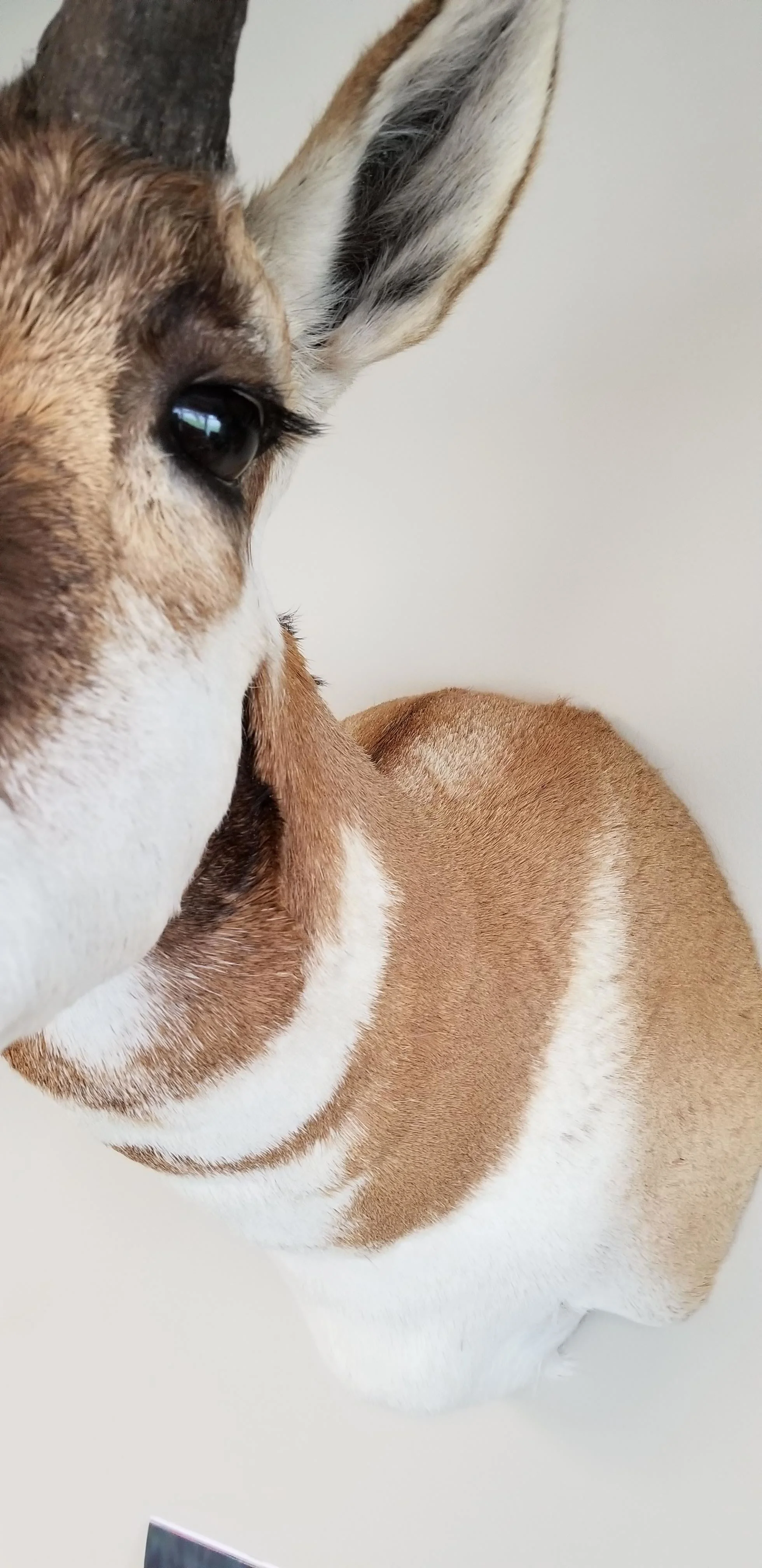 20180731_133542.jpg
