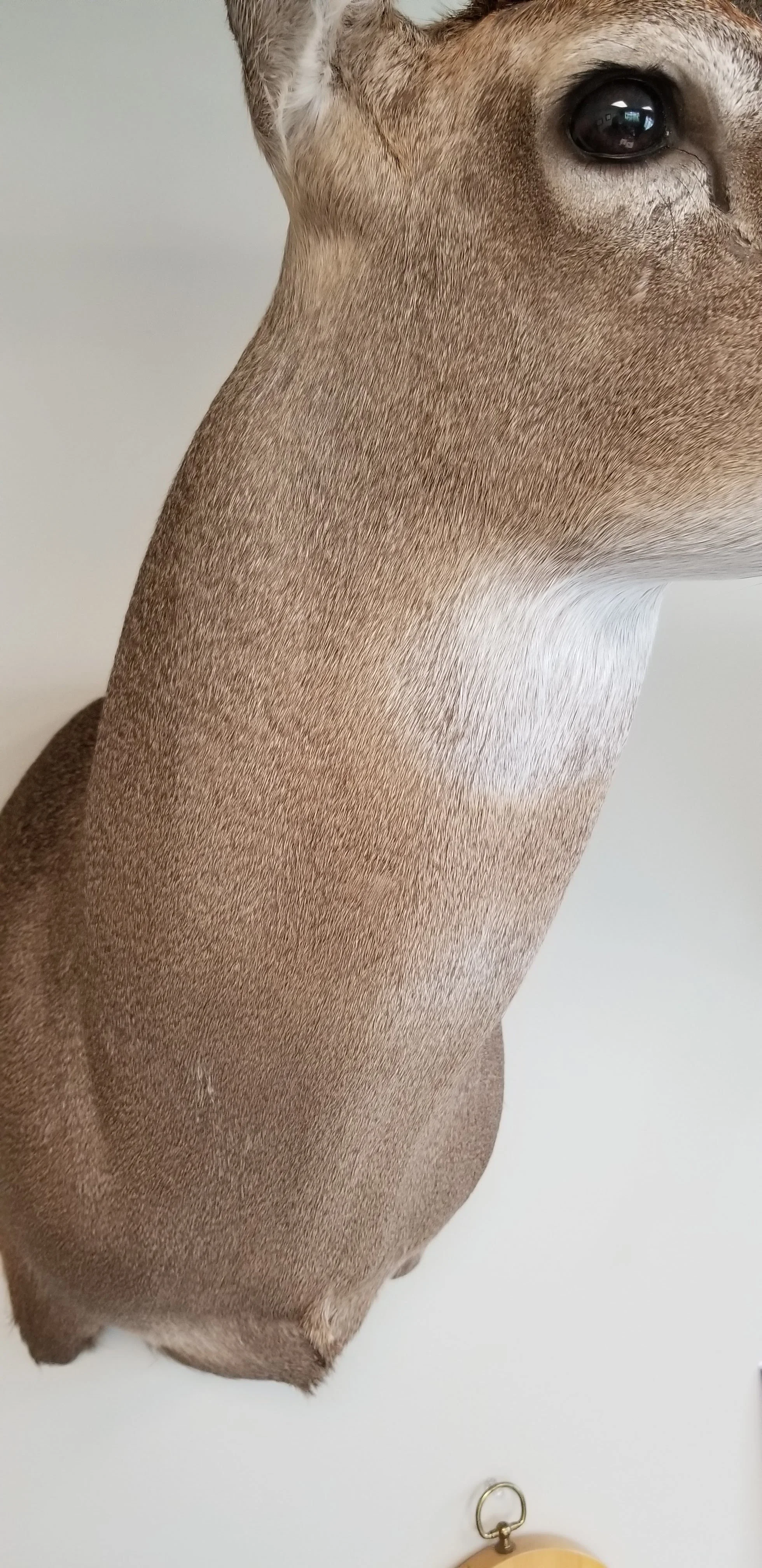 20180731_133452.jpg
