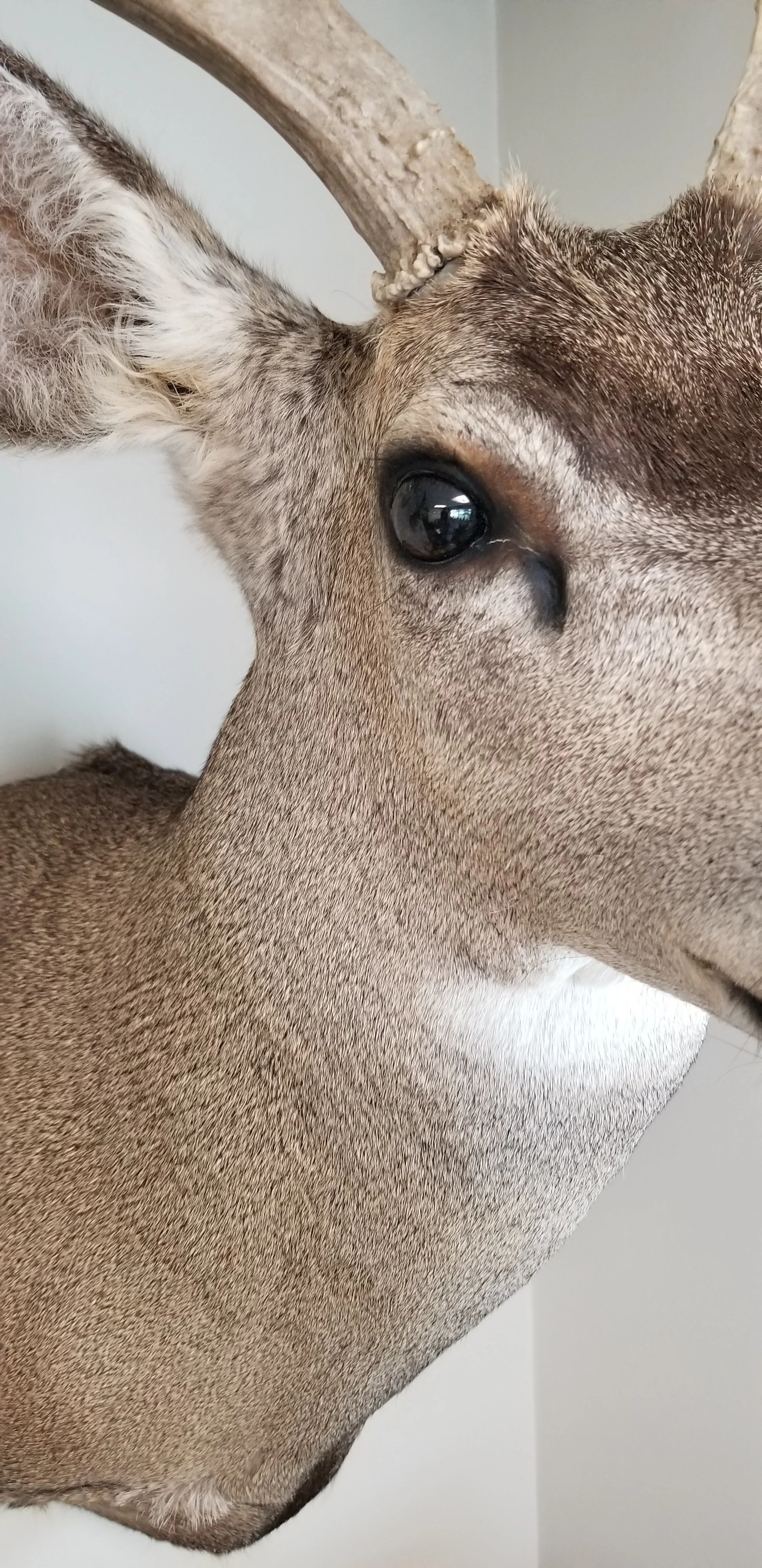 20180731_135520.jpg
