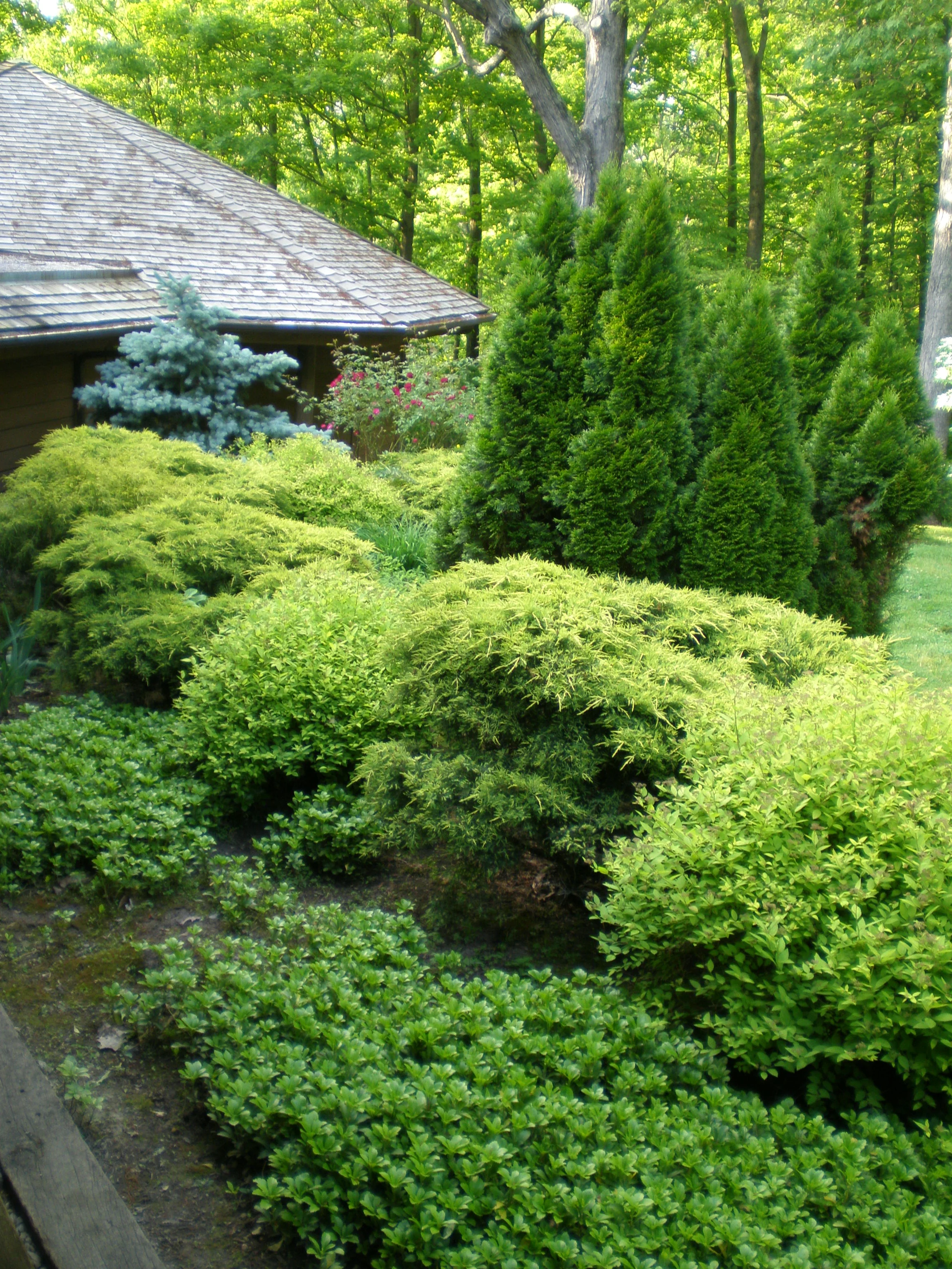 P5141280.JPG