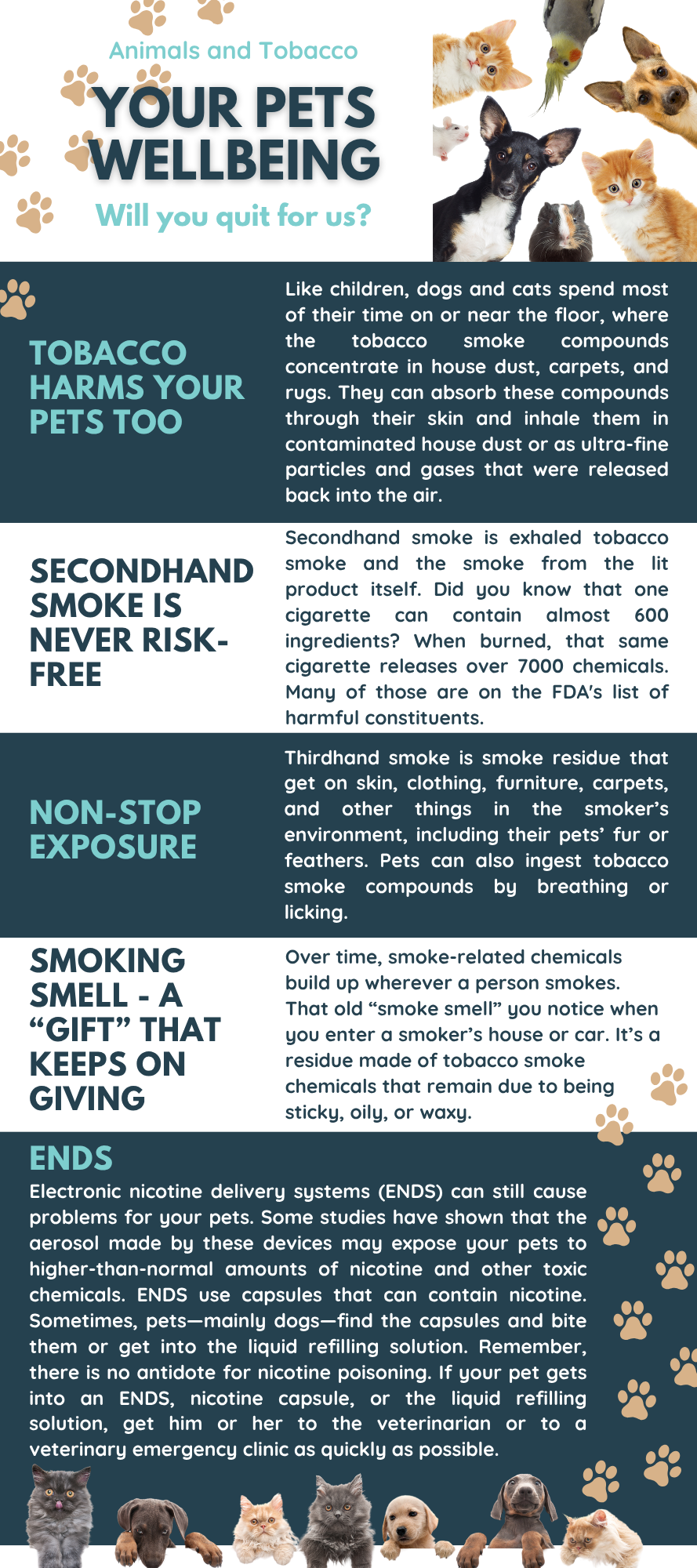 Animals and Tobacco