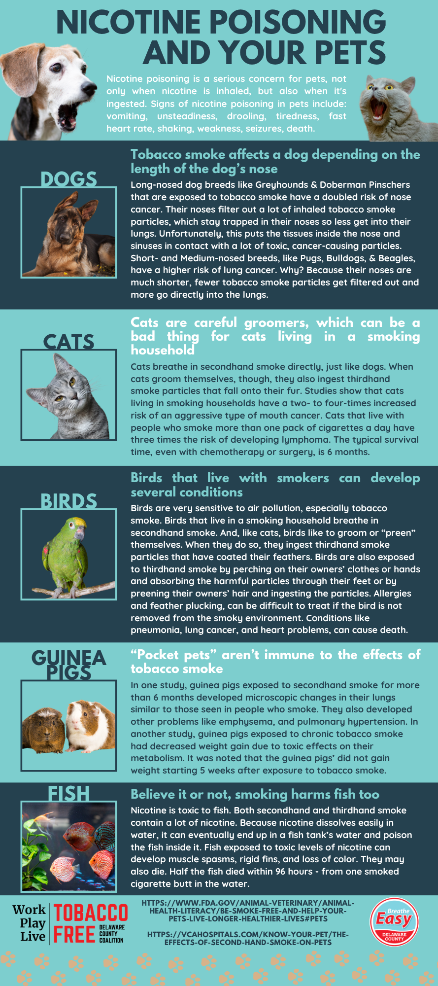 Pets 2025 Back.png