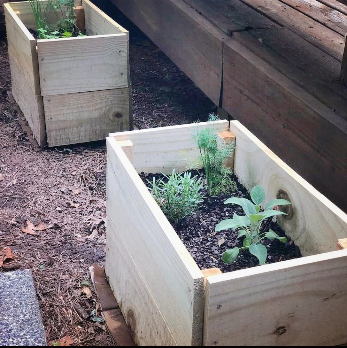 DIY raised beds.jpeg