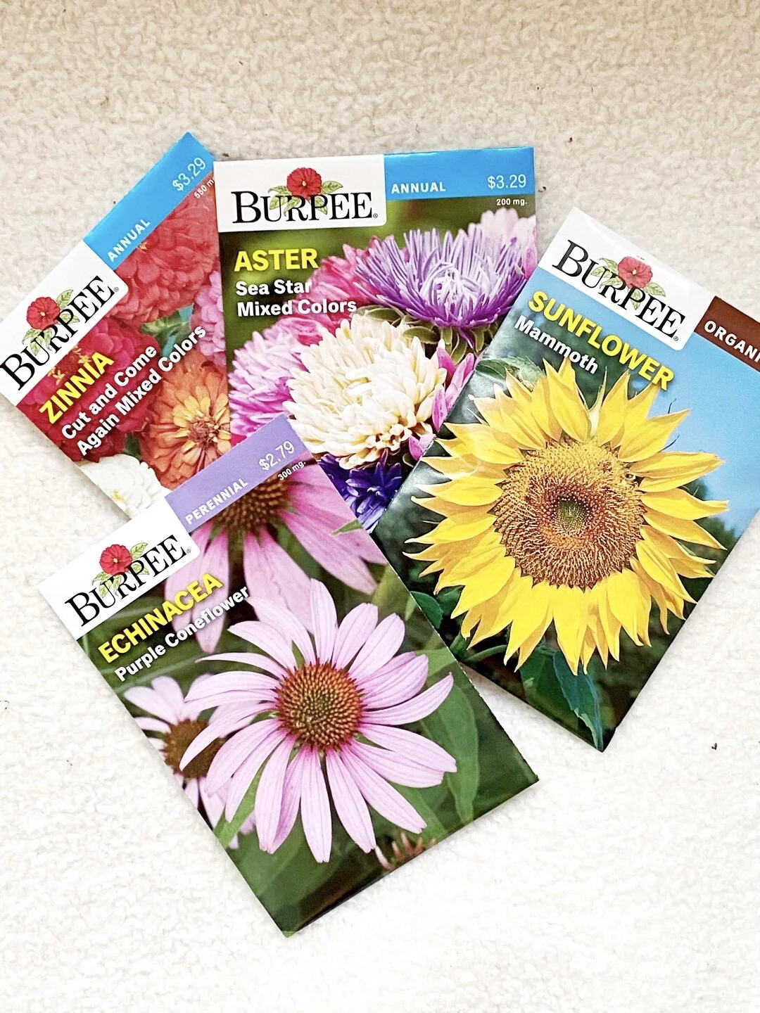 Cut Flower Garden Ideas.jpeg