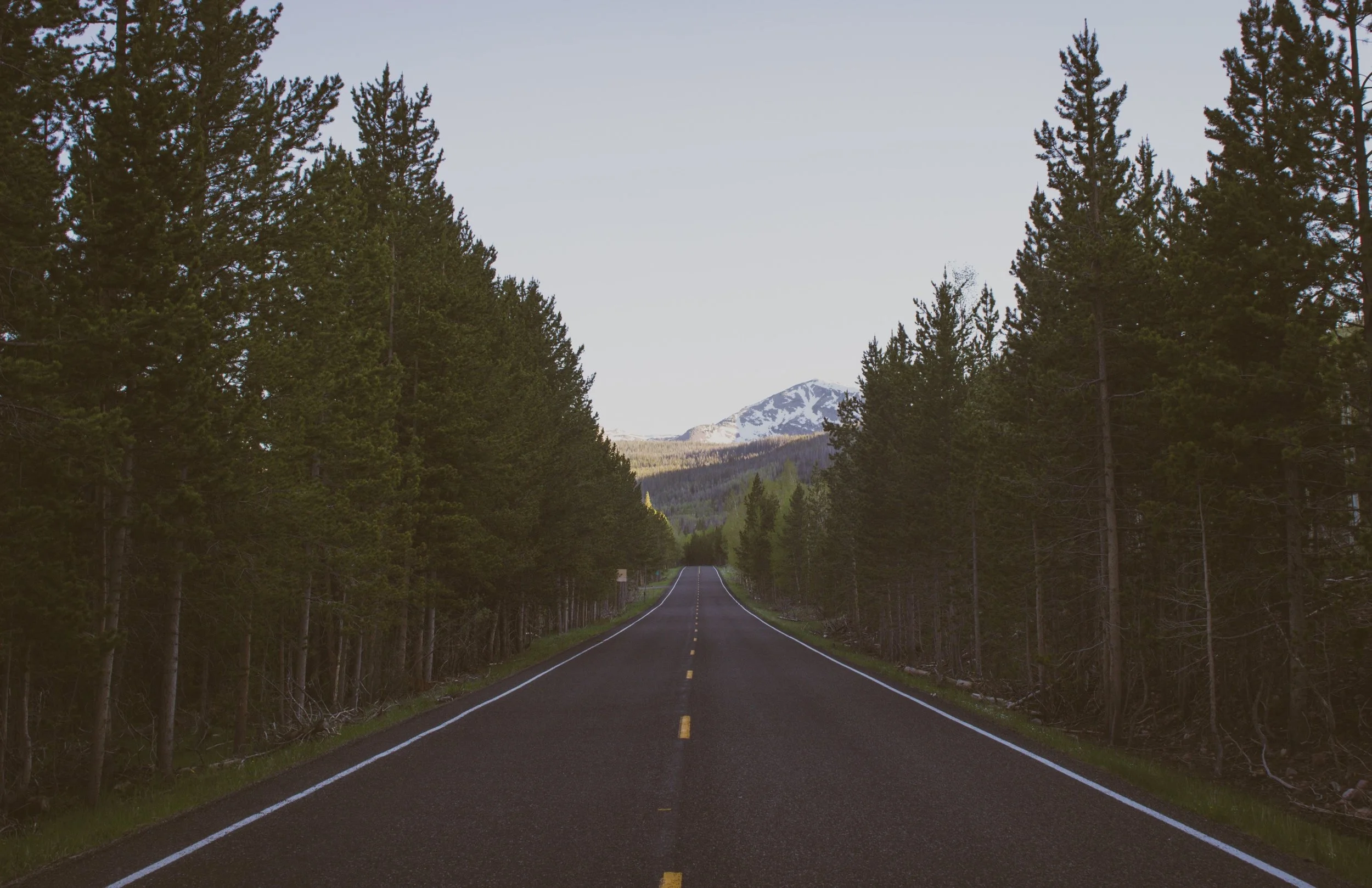 cameron-kirby-58750-unsplash.jpg
