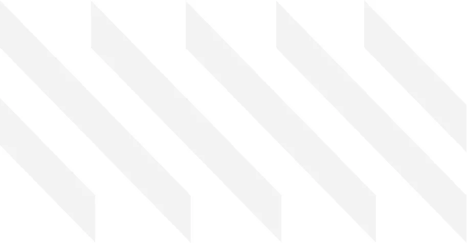 LION+Logo_GREY+STRIPES_RGB.jpg