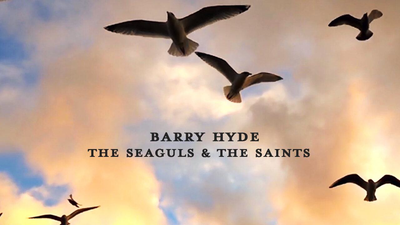 Barry Hyde - Seagulls & The Saints